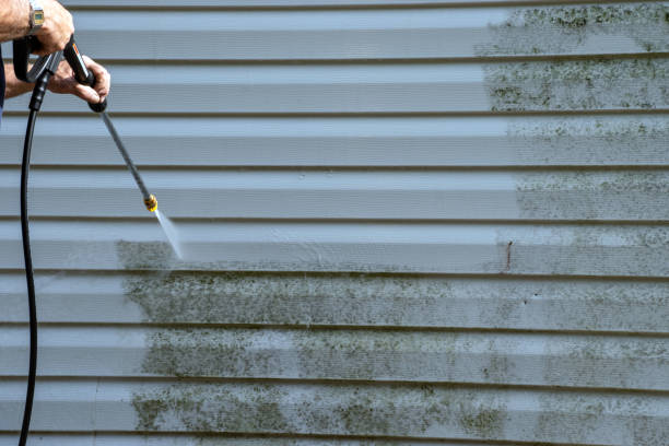 Best Construction Debris Removal  in Mineralwells, WV